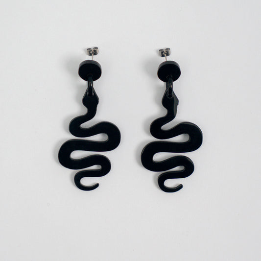 Unique Natural Horn Earrings